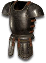 Caster Body