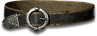 Caster Belt