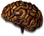 Khalim's Brain