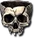 Chipped Skull