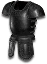 Arcanna's Flesh