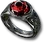 Dwarf Star