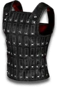 The Gladiator's Bane
