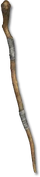 Cedar Staff